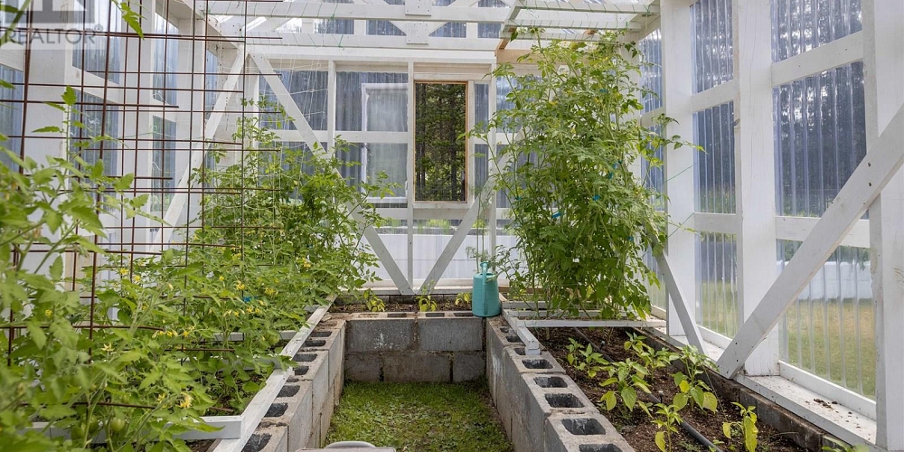 3009 SOLOMON WAY Terrace Photo 39 3009 SOLOMON WAY Terrace Photo 39